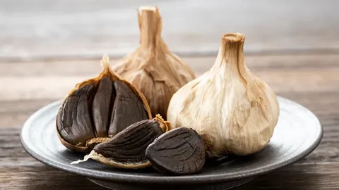 تصویر 1 از سیر سیاه گانودرما ستاره دخت + بسته بندی استاندارد